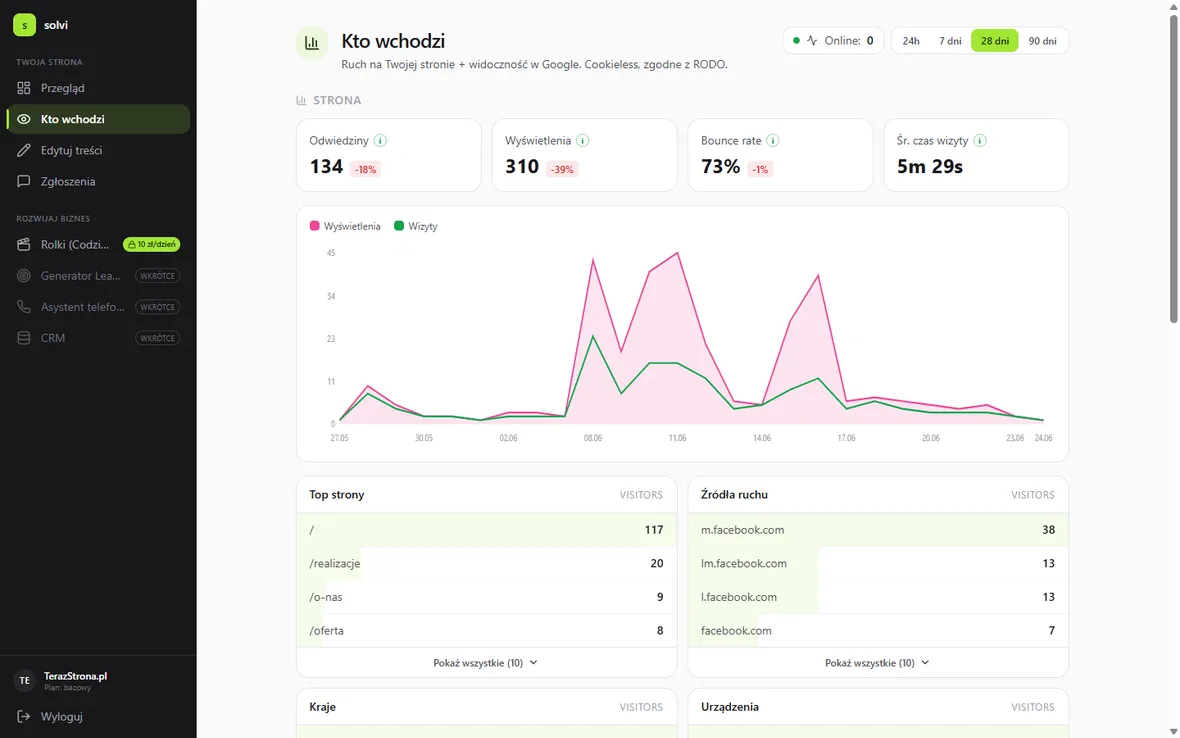 my.solvi.online panel — analytics: traffic, sources, Google rankings